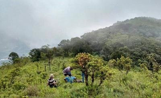 Western Ghats 